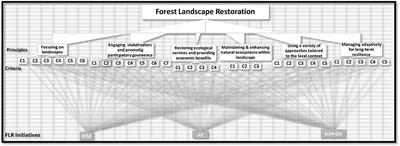 Forest landscape restoration in Ethiopia: Progress and challenges